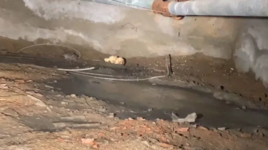 Sewage contamination detected in a Garland, TX crawl space before professional cleanup