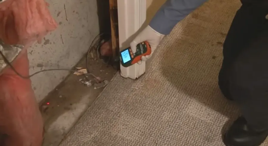 Garland Restore technician identifying the source of water damage in Rowlett, TX