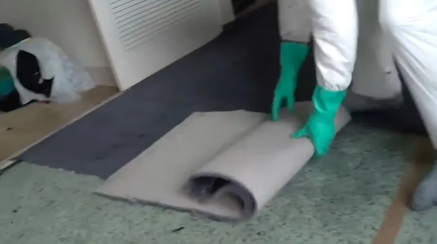 Technician removing water-damaged carpet during extraction cleanup in Garland, TX